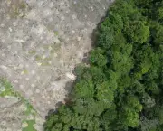 drones-no-brasil-agricultura-de-precisao-5