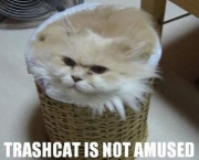 lolcats-e-all-your-bases-2