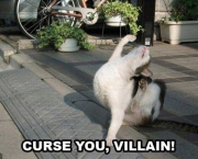 lolcats-e-all-your-bases-6