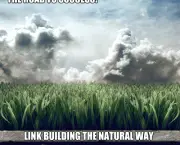 natural-link-building-4