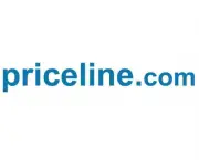 Qual a Importância da Priceline.com Para os Clientes no Geral (3)