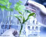 Biotecnologia na Agricultura (1)