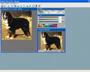 c-gimp-editores-de-imagens-para-iniciantes-e-d-vcw-editores-de-imagens-para-iniciantes-4