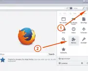 Como Desinstalar o Adblock no Mozilla (5)