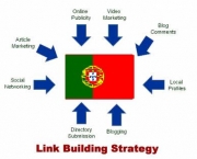 como-escolher-bons-servicos-link-building-services-5