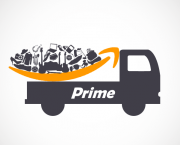 Empresa Amazon - História (3)