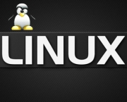 escolha-do-nome-linux-2
