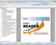 Foxit Reader (1)