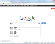 Google Chrome (2)