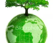 meio-ambiente-educacao-e-consciencia-ambiental-8