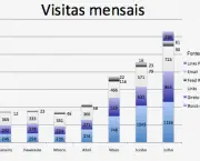 monitoramento-dos-visitantes-e-do-trafego-2