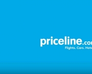 Qual a Importância da Priceline.com Para os Clientes no Geral (10)
