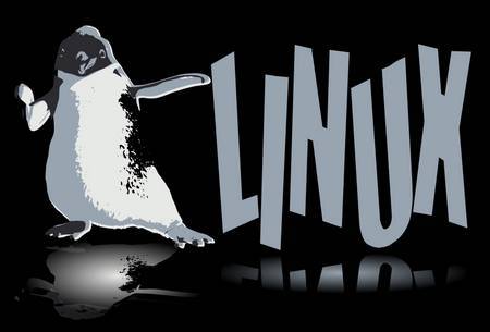 Linux Multimídia em Nova Versão