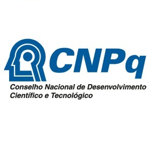 CNPq: Internet no Brasil